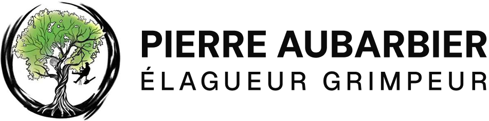Logo de Pierre aubarbier